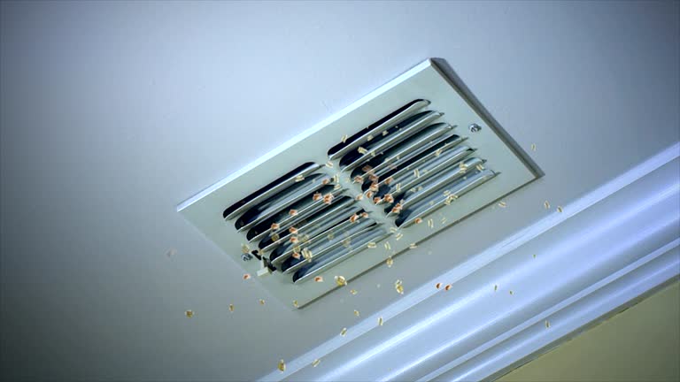 Professional Airduct Cleaning in Southside, AL