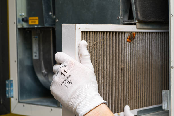 Best Air Duct Mold Removal  in Southside, AL